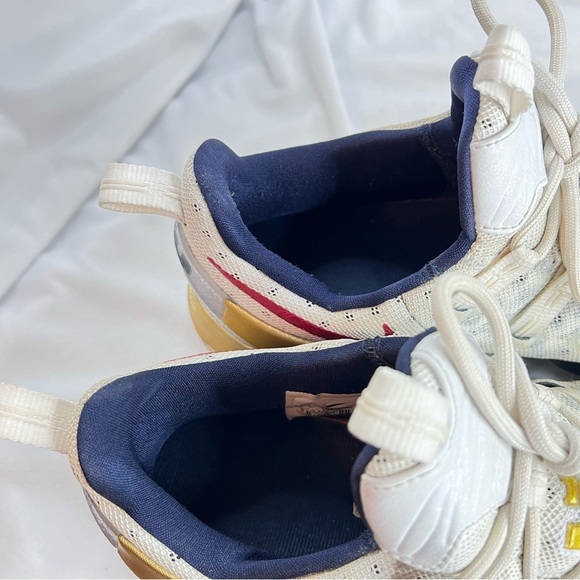 Nike LeBron 13 Low Olympic Sneaker Size 11 - Picture 9 of 12